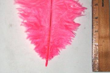 Pink Orient Ostrich feathers. (9-12