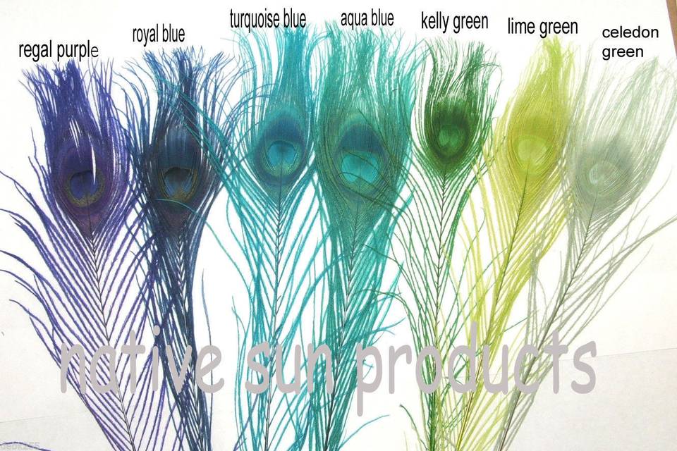 7 of our beautiful dyed peacock feather colors:  L-R Regal purple, Royal blue, Turquoise blue, Dark Aqua blue, Kelly Green, Lime Green & Celedon  Available in 10-15