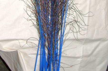 Stem dyed peacock feathers ROYAL BLUE. Stem dying produces brightly colored stems with subtle hues of color seeping into the feather fronds & eyes, all while retaining the beautiful natural iridescence of the peacock feather. Available in two lengths 10-15