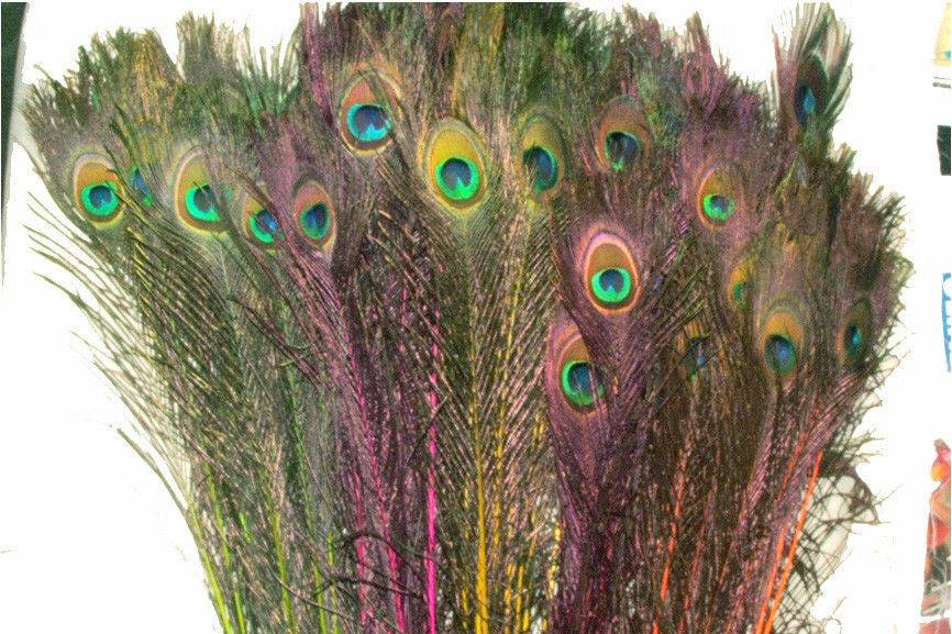 Our  NEON Mix Stem Dyed peacock feathers, pack of 100. 30-35