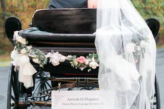 Arrivals In Elegance Horse Drawn Carriage Services, LLC