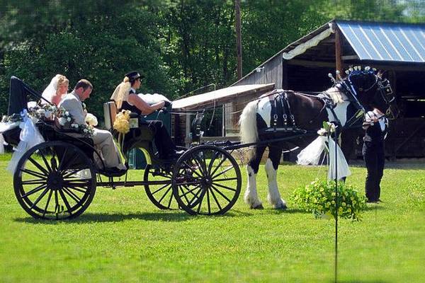 Arrivals In Elegance Horse Drawn Carriage Services, LLC