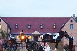 Arrivals In Elegance Horse Drawn Carriage Services, LLC