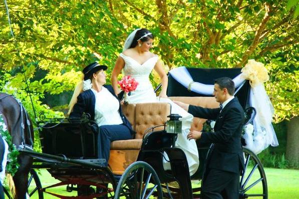 Arrivals In Elegance Horse Drawn Carriage Services, LLC