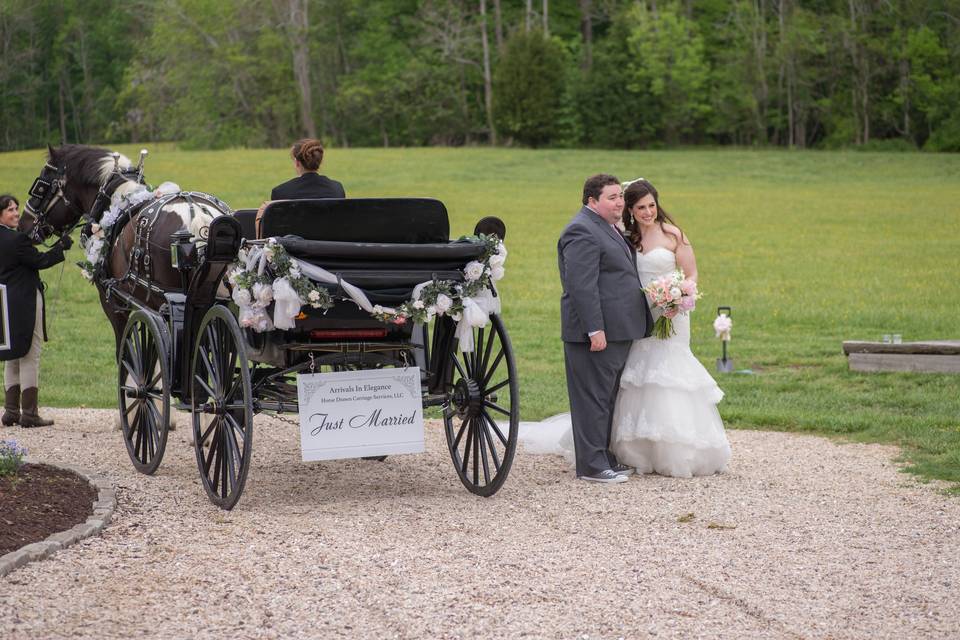 Arrivals In Elegance Horse Drawn Carriage Services, LLC