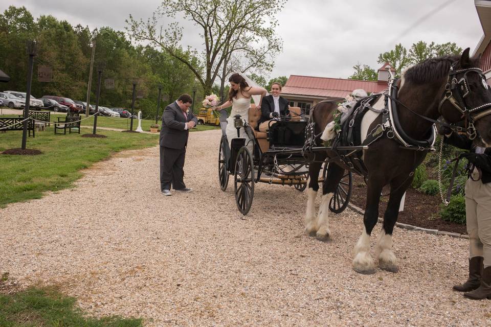 Arrivals In Elegance Horse Drawn Carriage Services, LLC