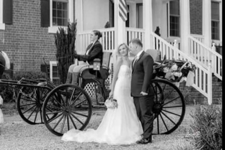 Arrivals In Elegance Horse Drawn Carriage Services, LLC