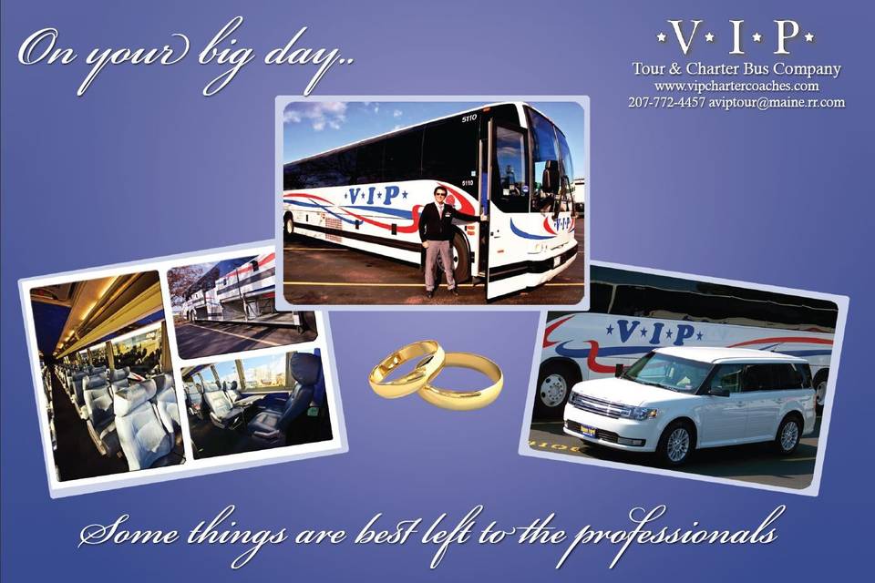 vip tour company