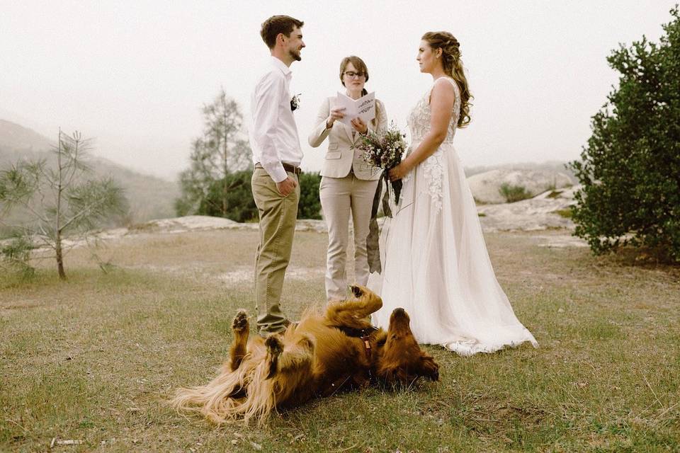 Rev. Kindra, Wedding Officiant