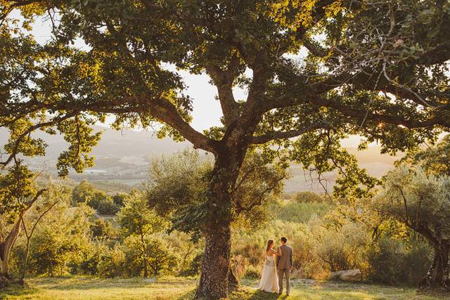 Wedding couple