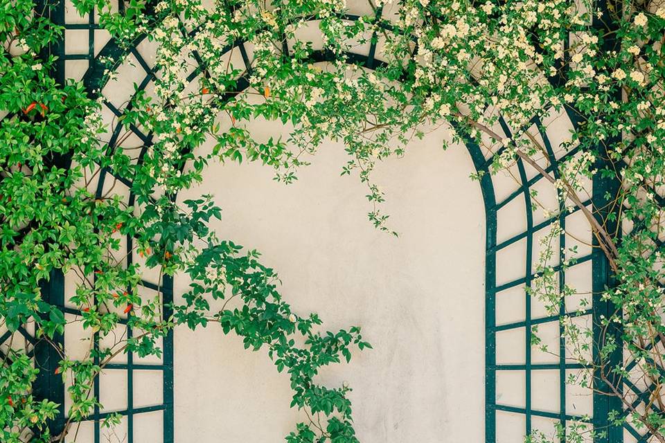 Wedding in France