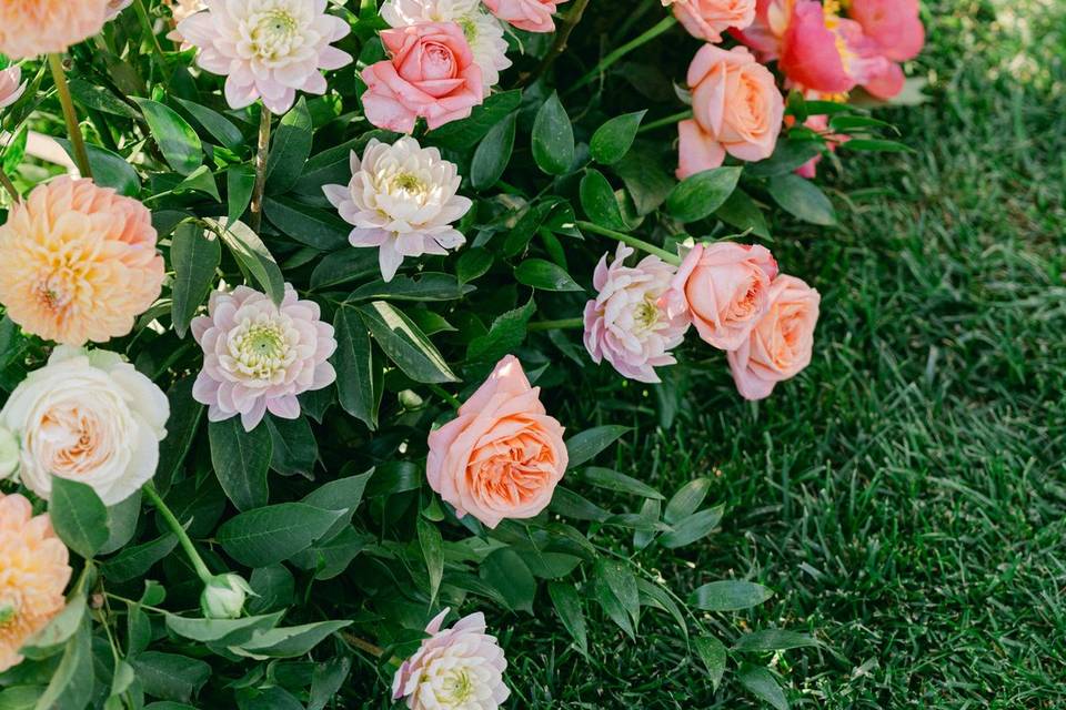 Wedding Details