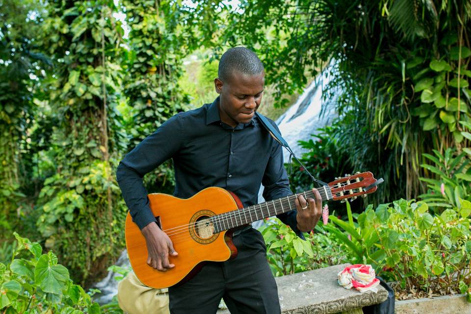 Serenading the couple