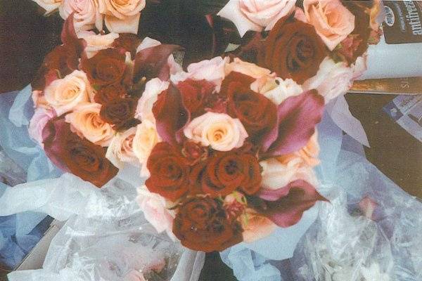 Rose of Sharon