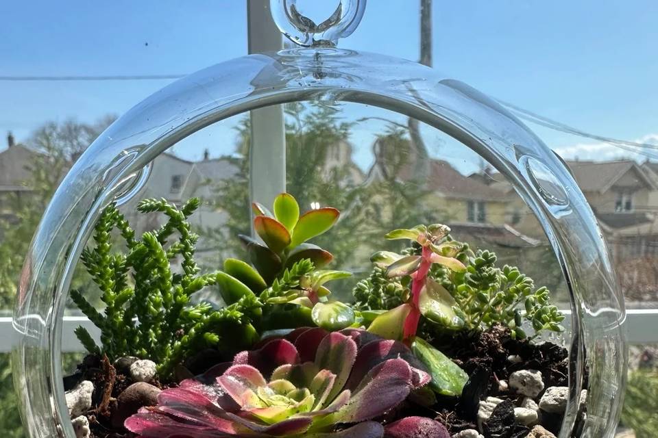 Rockaway Botanica