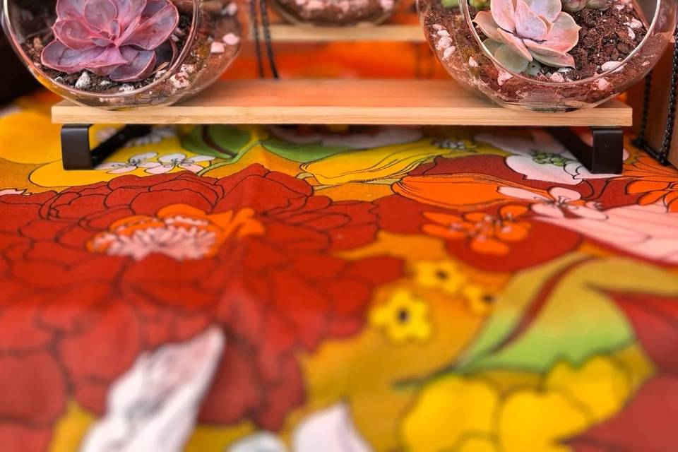 terrarium-display