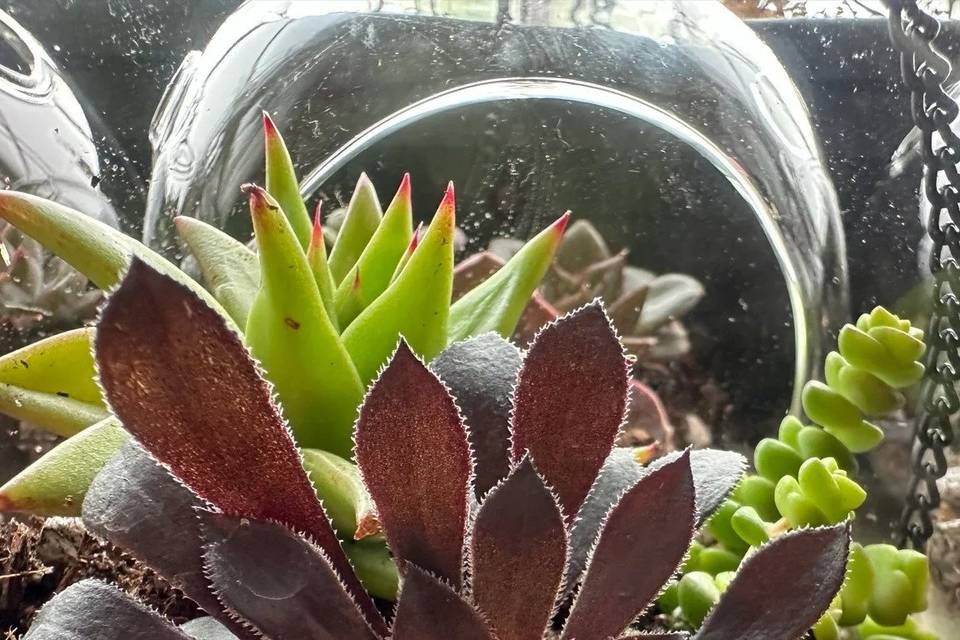 globe-closeup