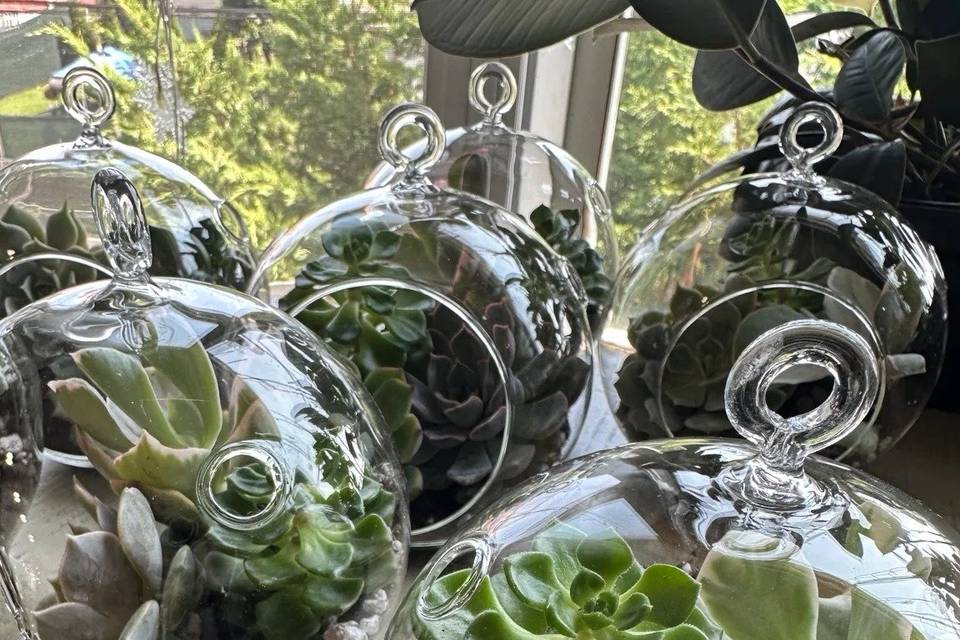 terrarium-detail-final