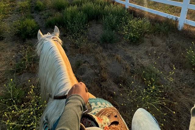 Old Town Ranch
