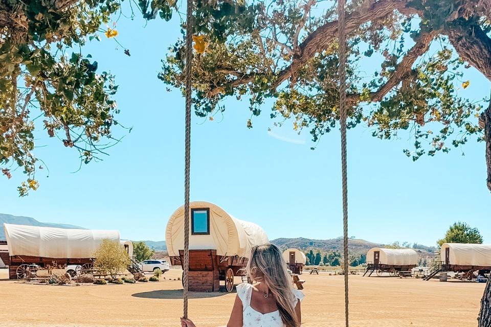 Old Town Ranch