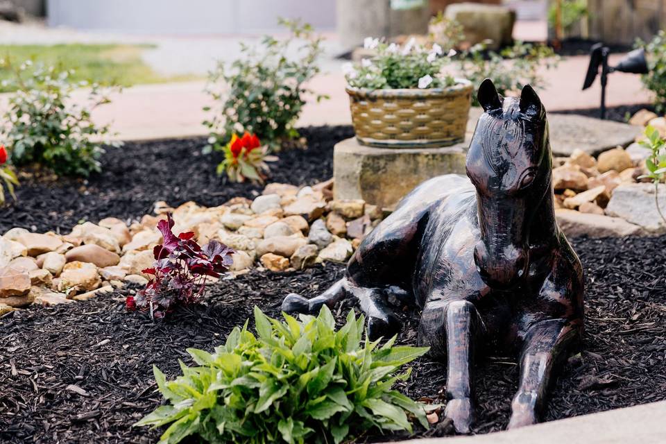 Front Landscaping