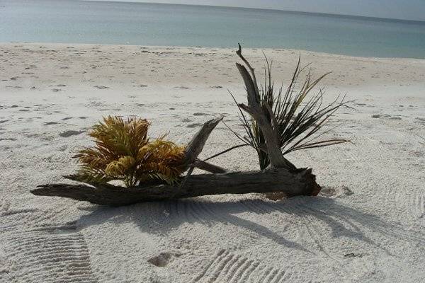 Natural driftwood and plants accent the beach in a special natural way