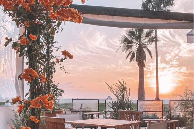 Garden Patio Sunset2