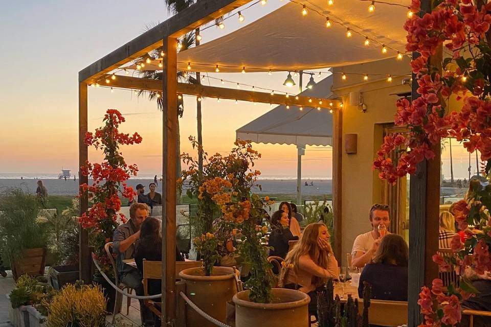 Garden Patio Sunset