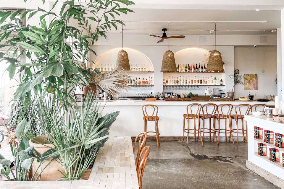 Fig Tree Venice