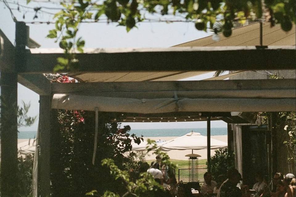 Garden Patio View
