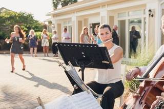 Chamber Music Charleston