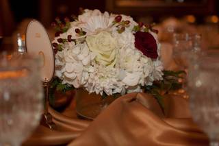 Weddings Sophisticate and Event Planning