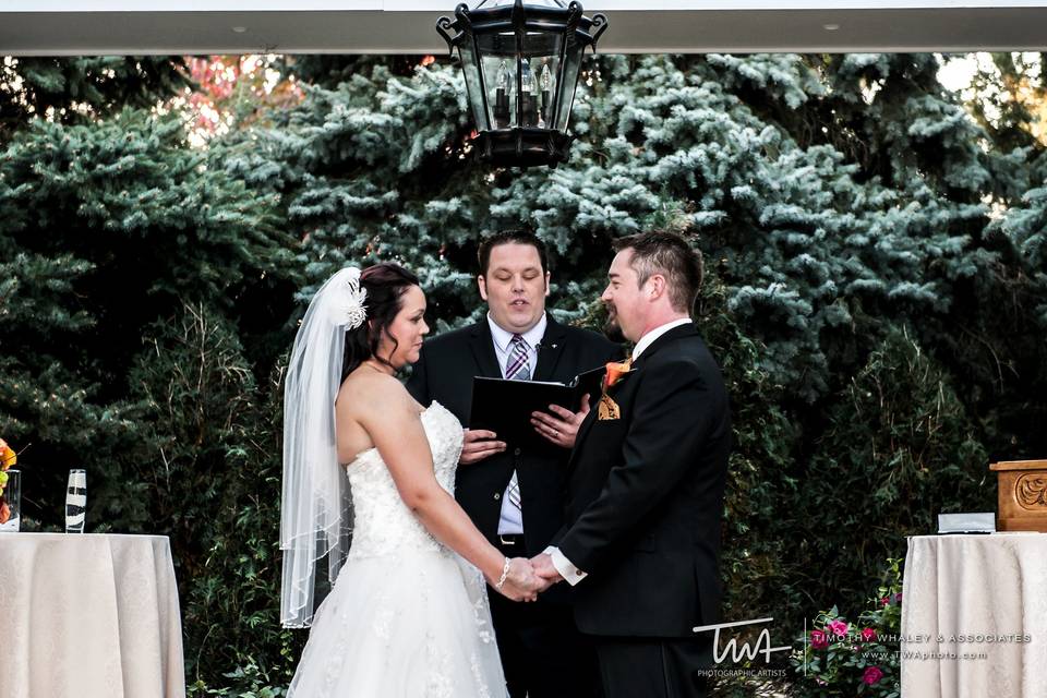 One Fine Day Wedding Officiants Wedding Officiants Joliet IL WeddingWire