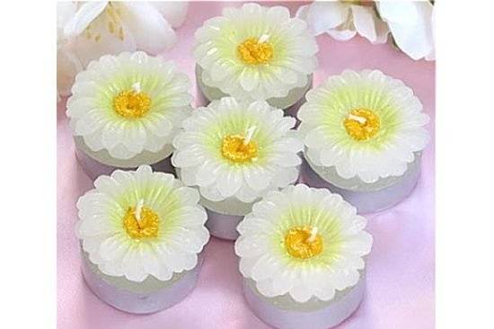 Daisy Flower Tea Light Candles (White or Pink)