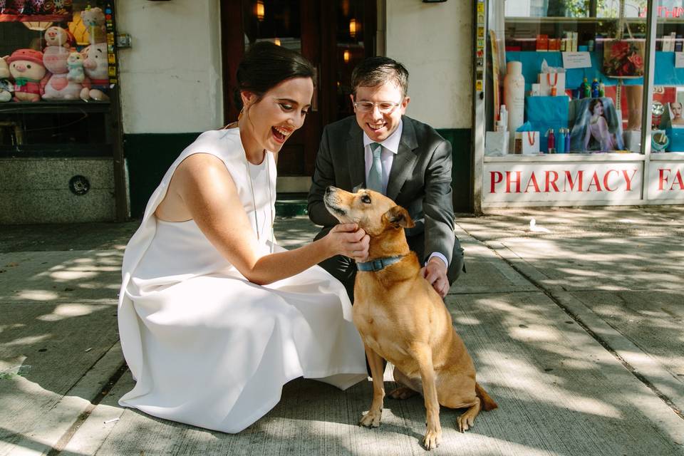 Wedding dog in Brooklyn