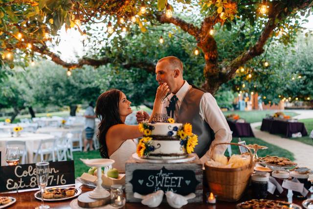 Dessert Under the Lights