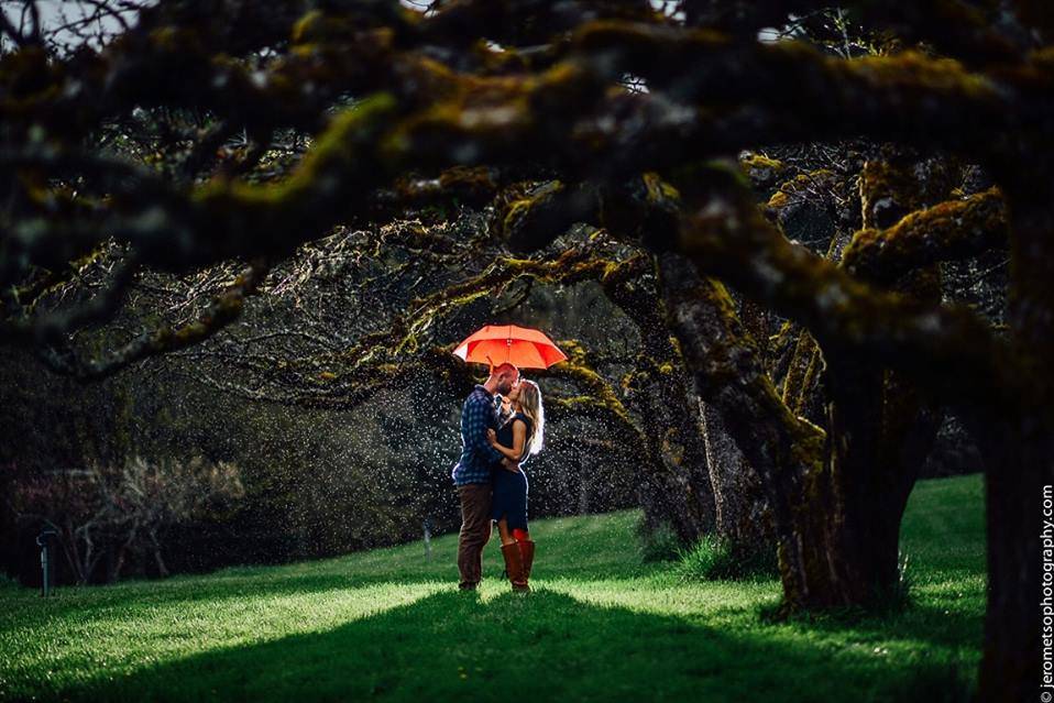 The Orchard at Sunshine Hill