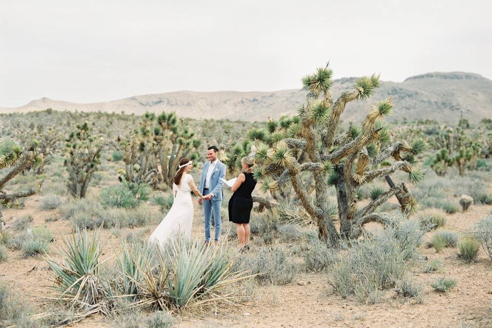 Outdoor ceremony