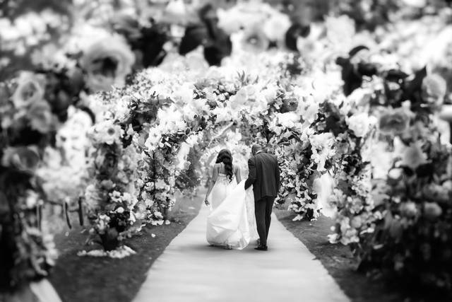 Love blossoms towards forever