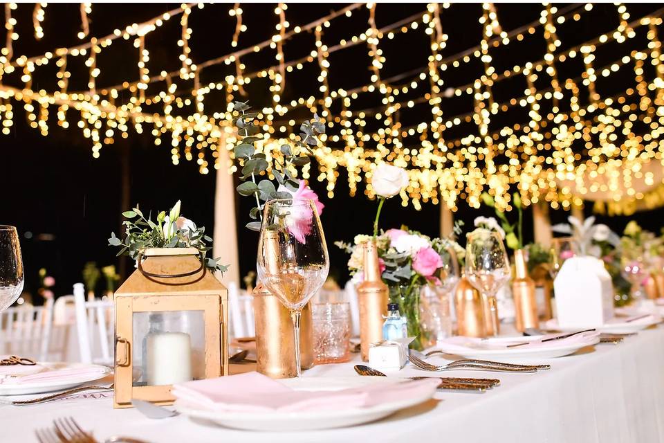 Night reception Fairy Lights