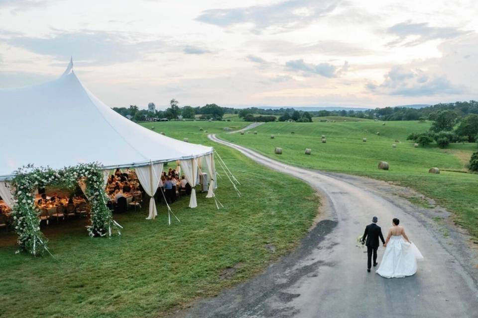 Spruce Projects and Events