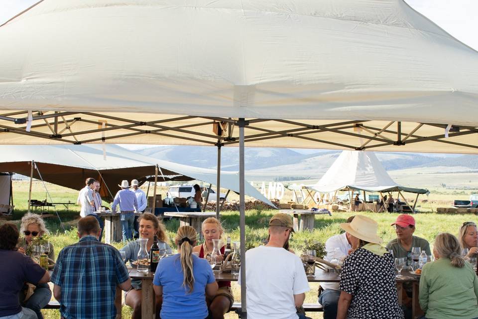 Spruce Projects and Events