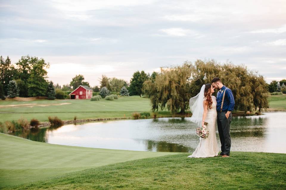 Willows and barn