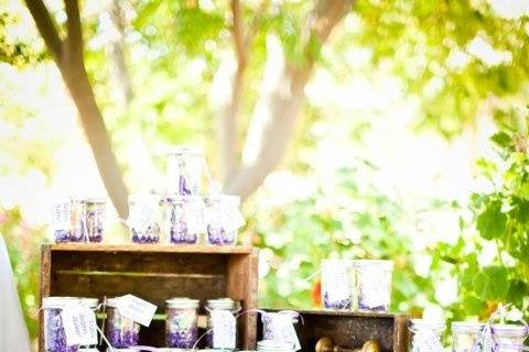 Blue Daphne