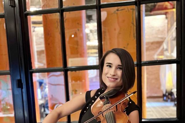Solo violin corporate event
