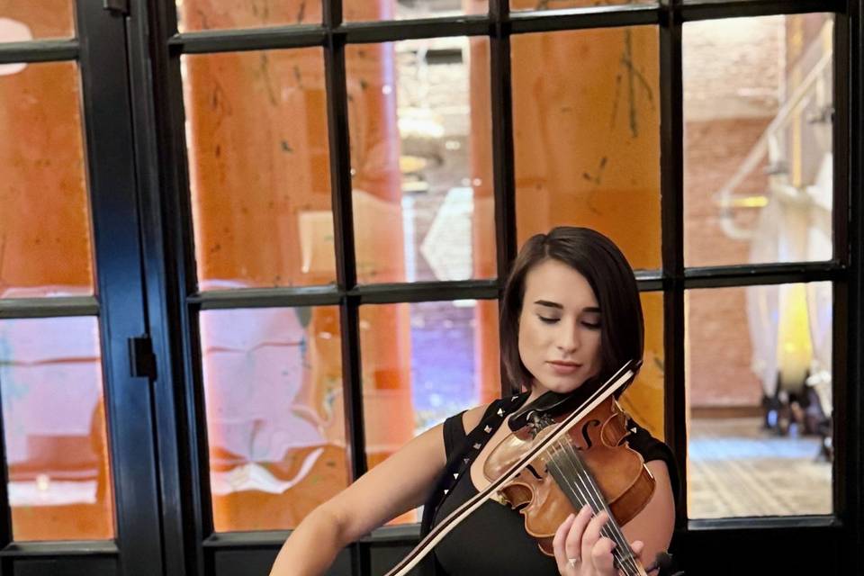 Solo violin corporate event