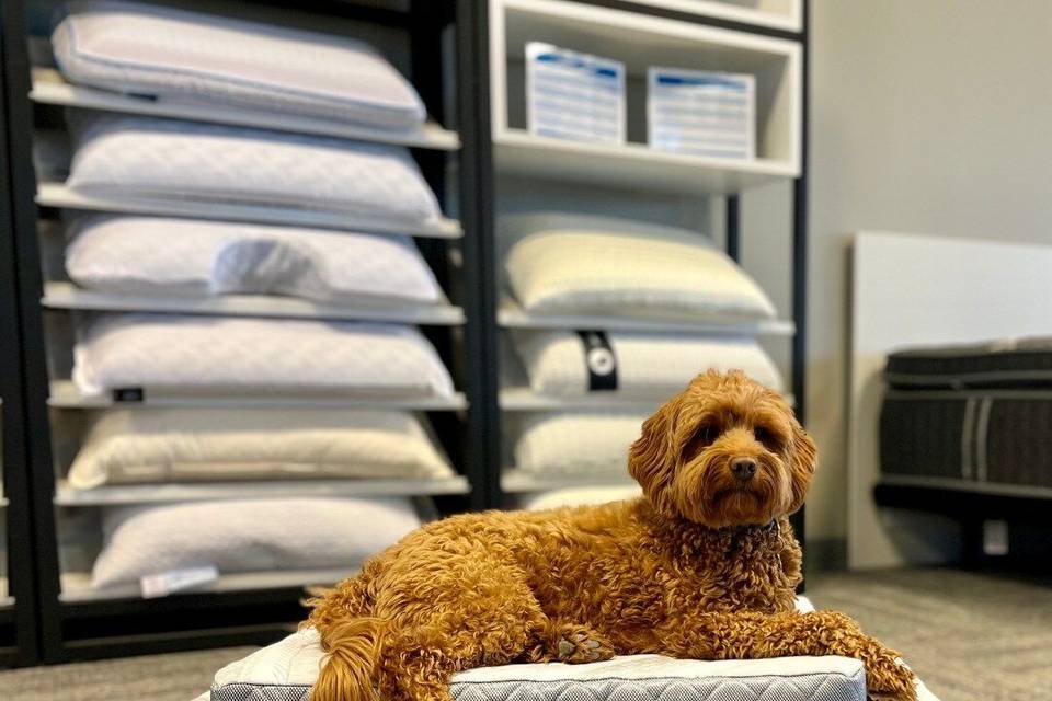 Verlo Mattress of Dallas