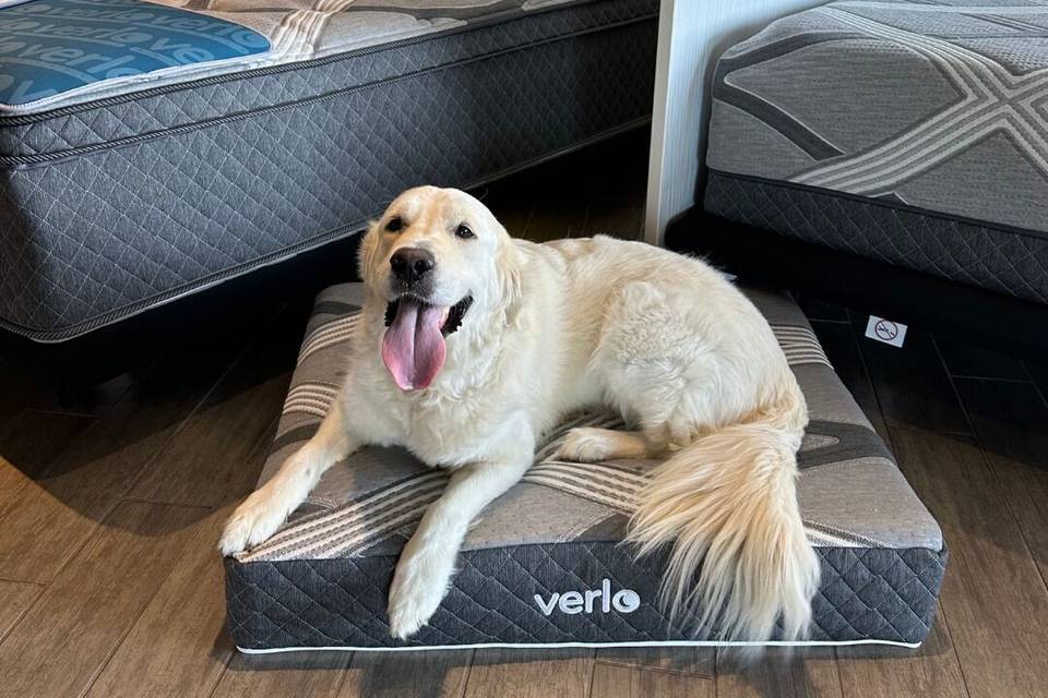 Verlo Mattress of Dallas