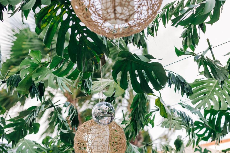 Beach Wedding