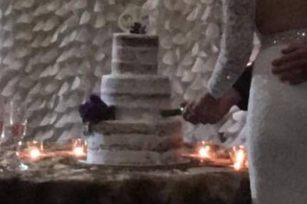 Couple cake cutting